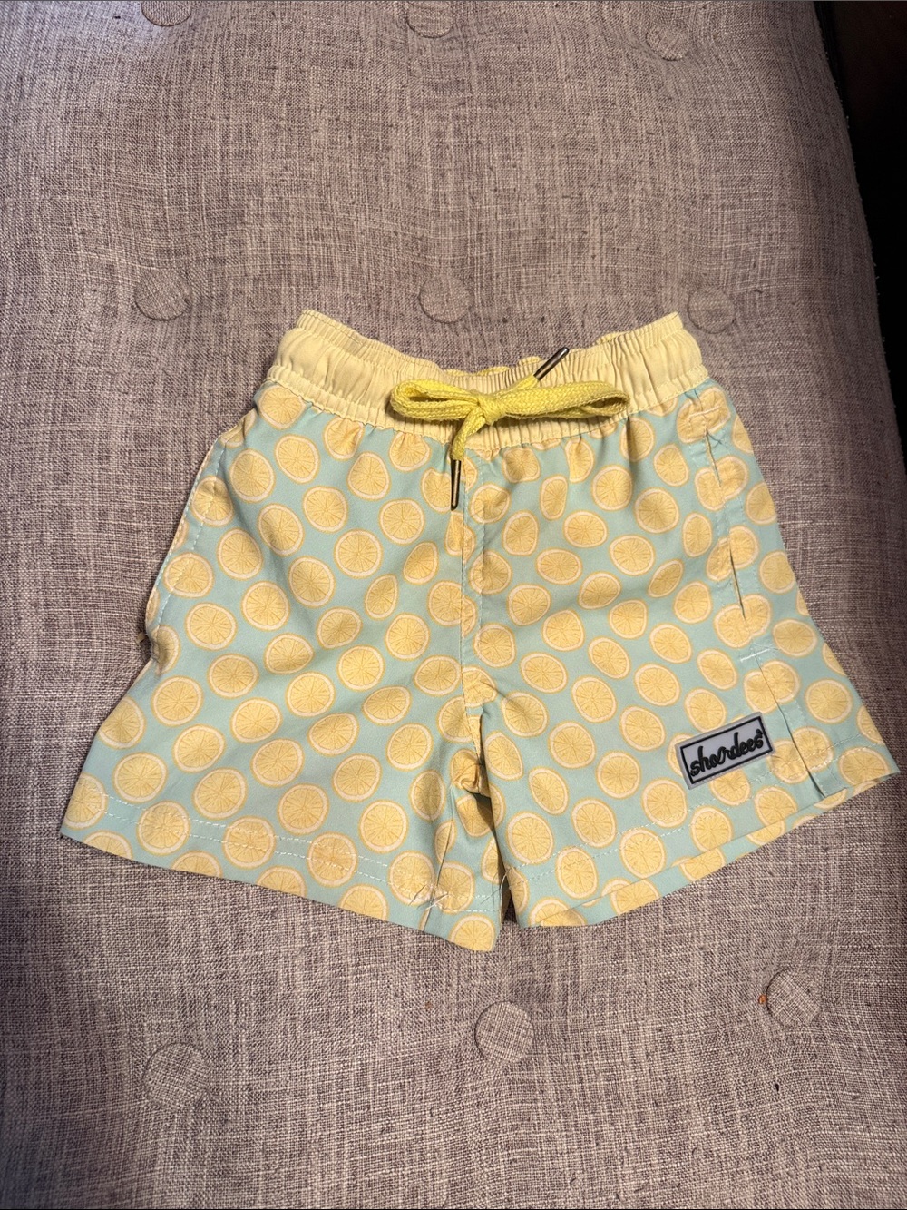 Boys Shordees Swim Trunk- lemons